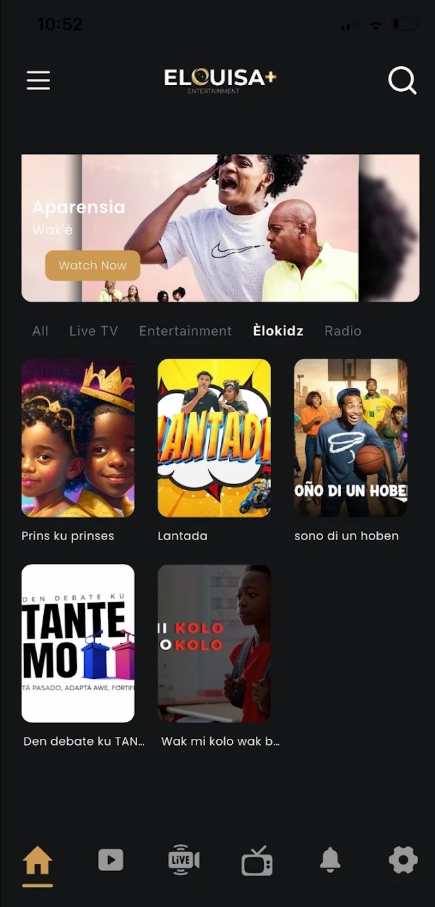 Android and iOS OTT IPTV player mobile application project by Expert IT Solution